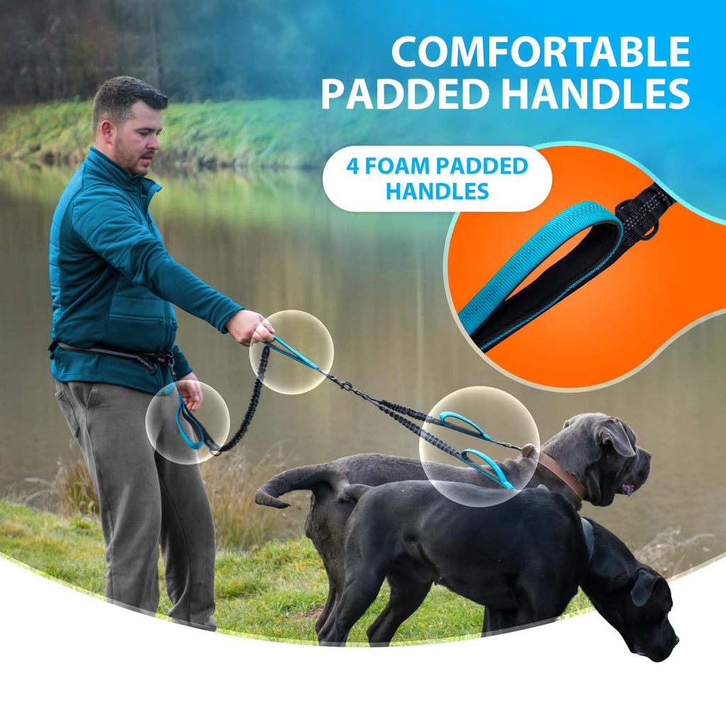Hands Free & No Tangle Dual Dog Leash for 2 medium to big dogs