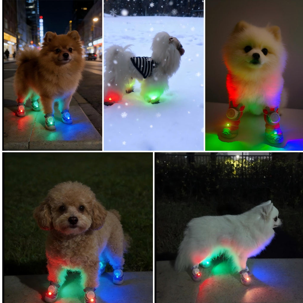 2026 Glowing Dog Shoes with LED Light （4pcs）Light up dog shoes Anti-Slip Sole Paw Protector Booties for Small Medium Dogs Hot Pavement Safety