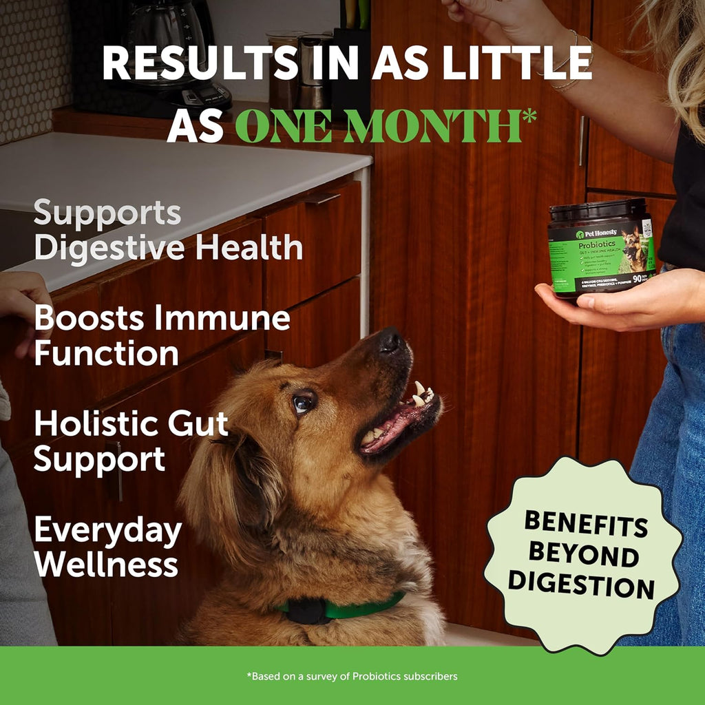 Youmile Probiotics for Dogs Soft Chews