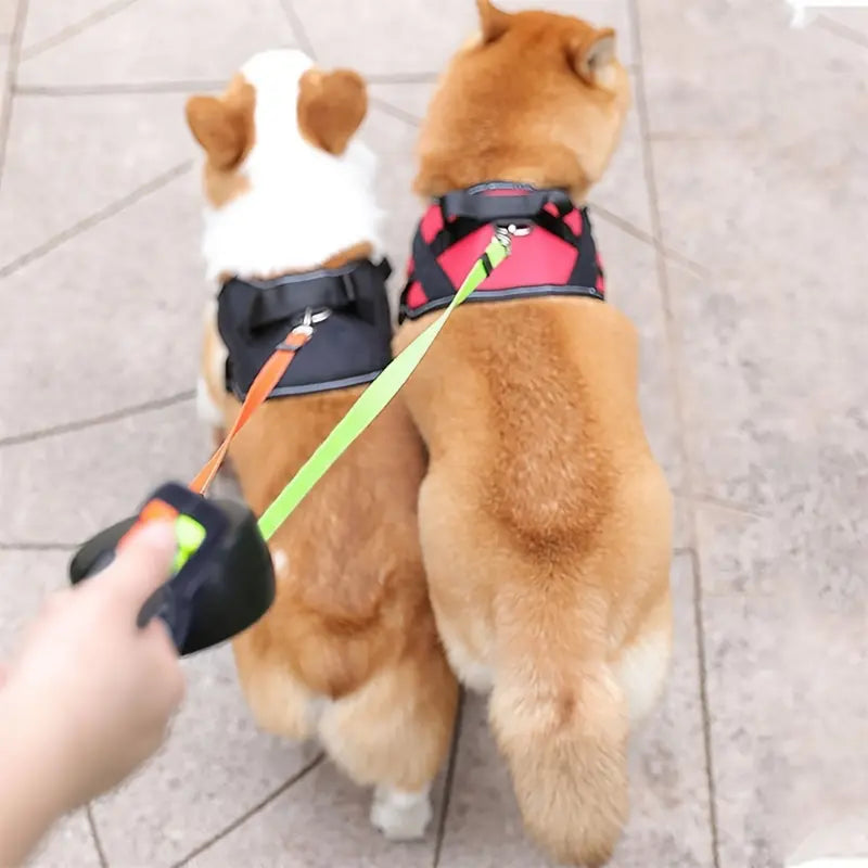 Tangle-Free Dual Dog Leash with 360° Swivel Head – For 2 Small to Medium Dogs (30 lbs)