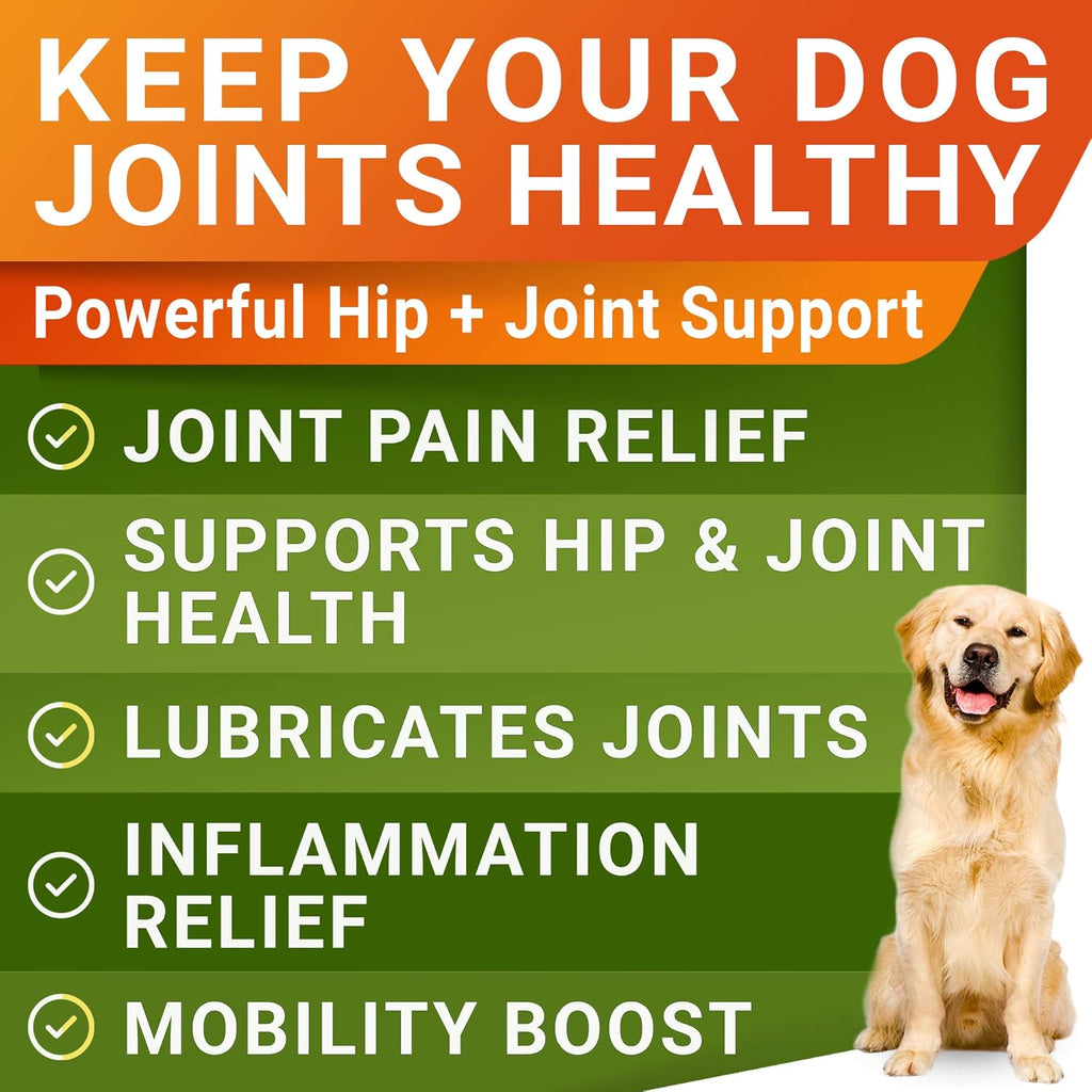 Youmile Hip & Joint Health Supplement for Dogs