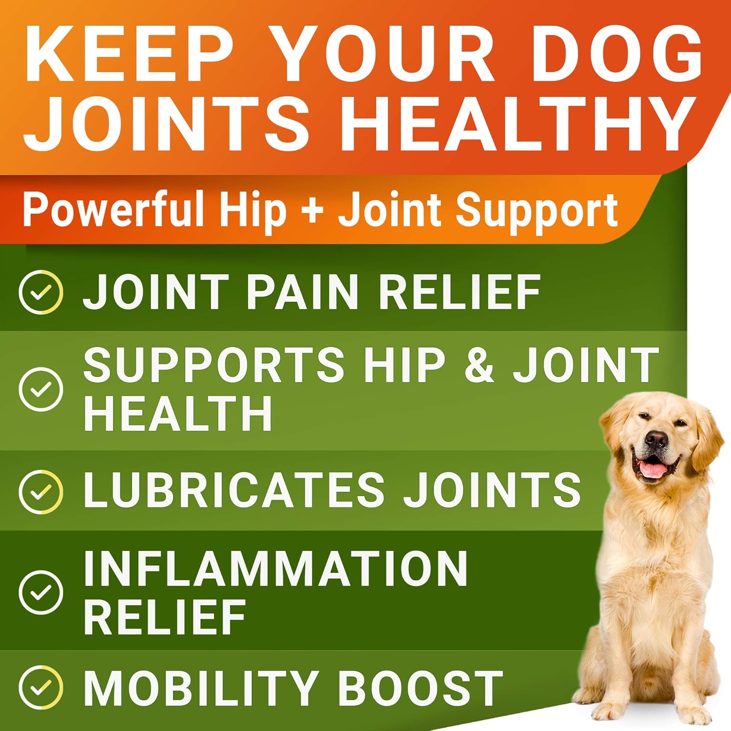 Youmile Hip & Joint Health Supplement for Dogs