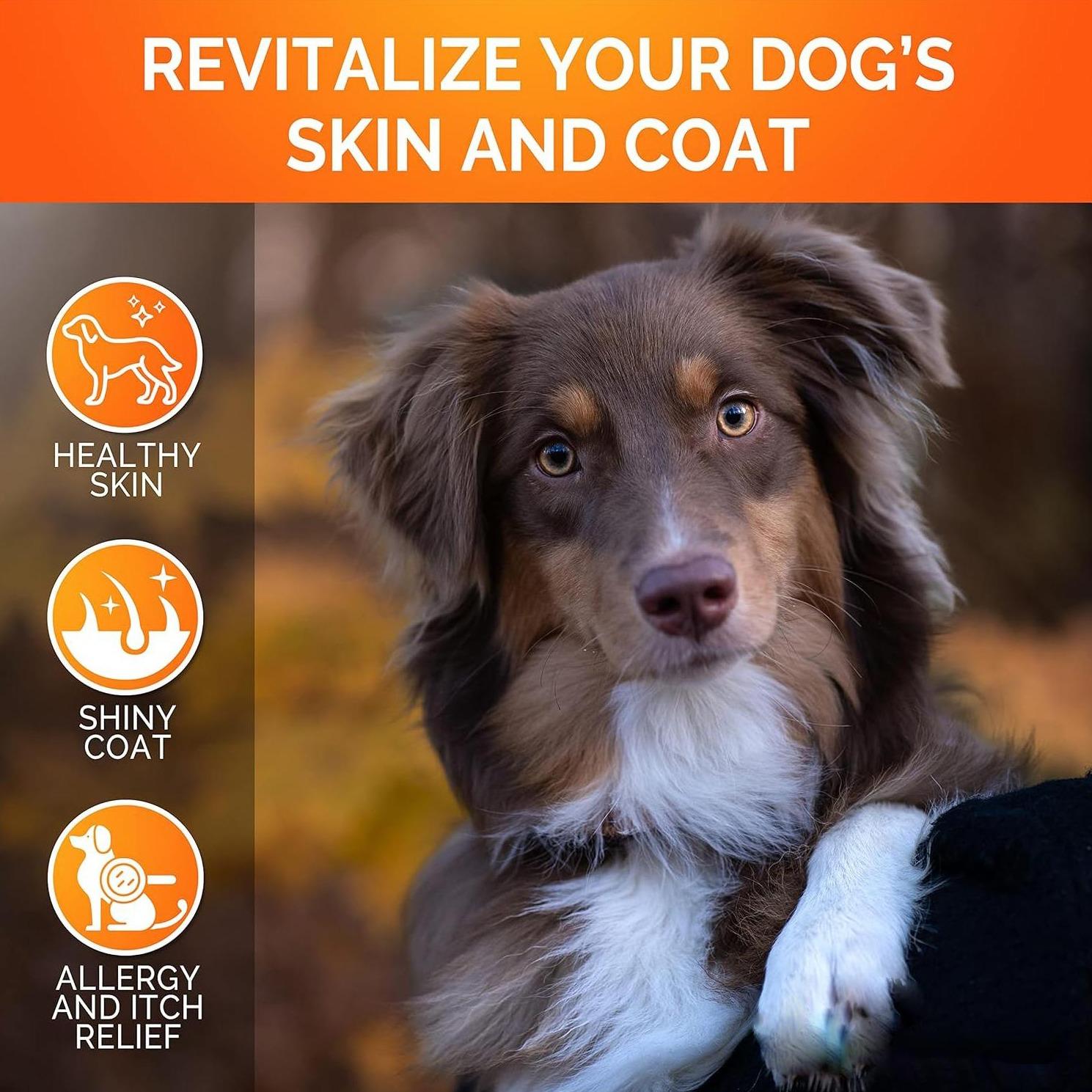 Youmile Omega 3 for Dogs