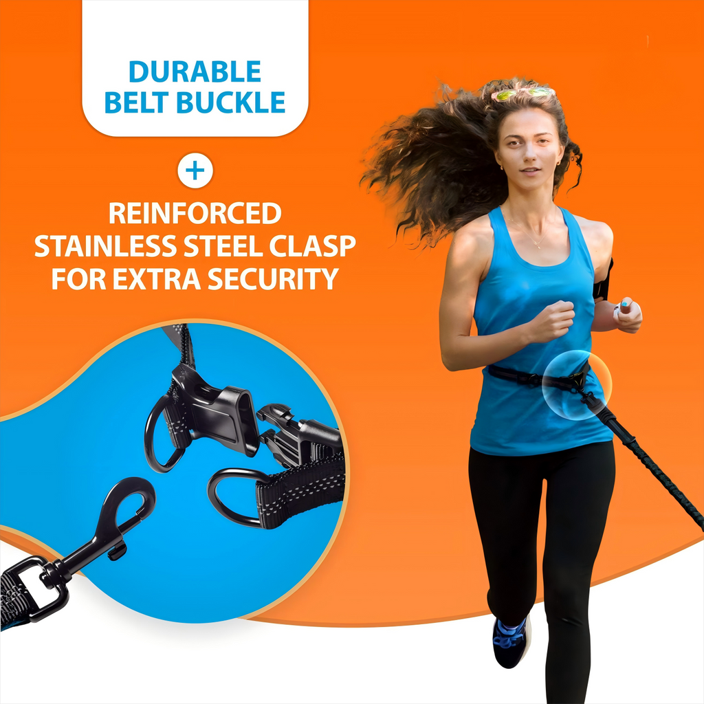 Hands Free & No Tangle Dual Dog Leash for 2 medium to big dogs