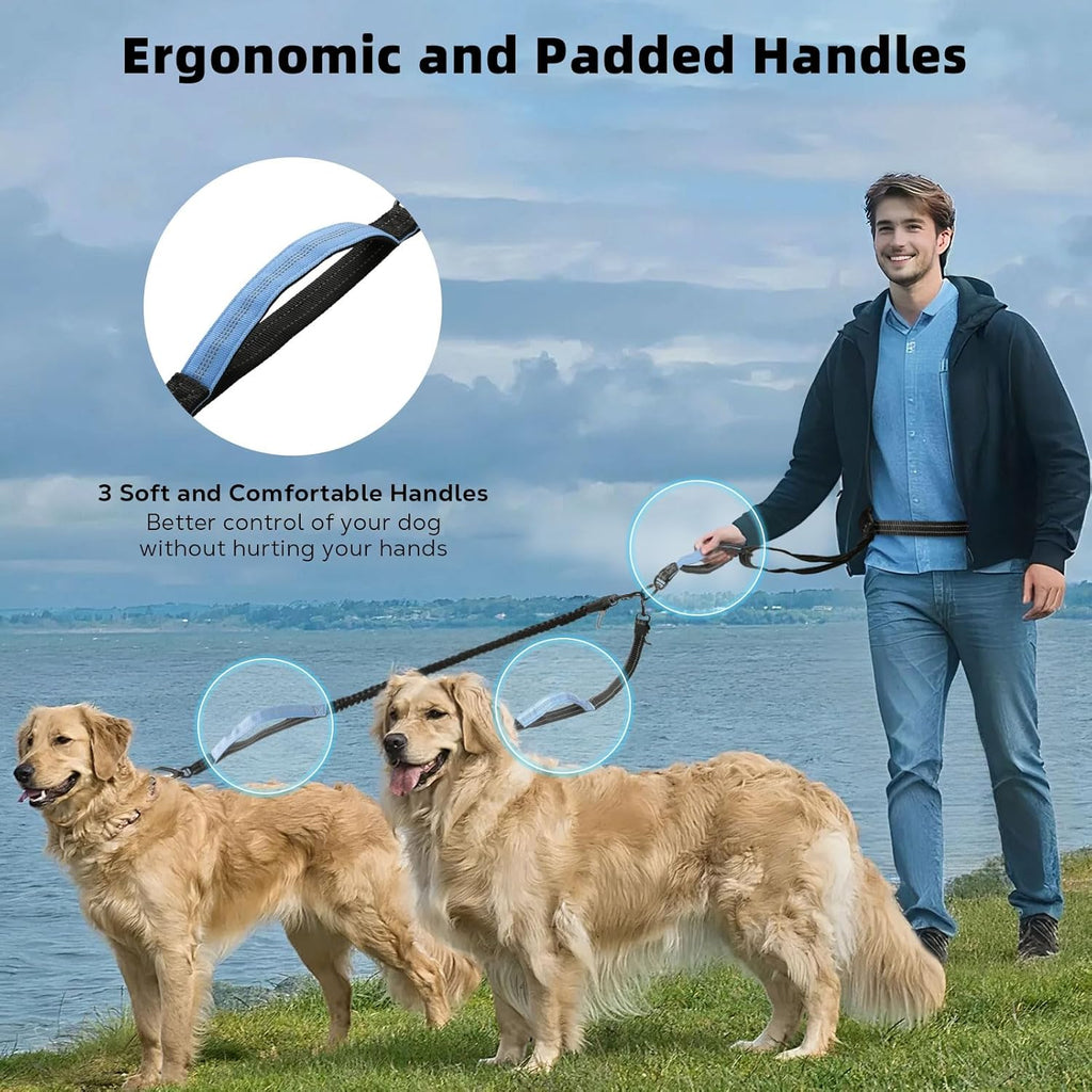 Hands Free & No Tangle Dual Dog Leash for 2 medium to big dogs
