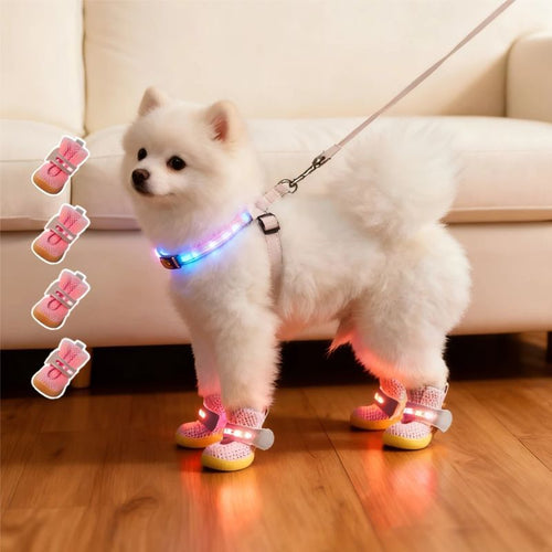 Dog Glowing shoes for Small Dogs (4 Pack)
