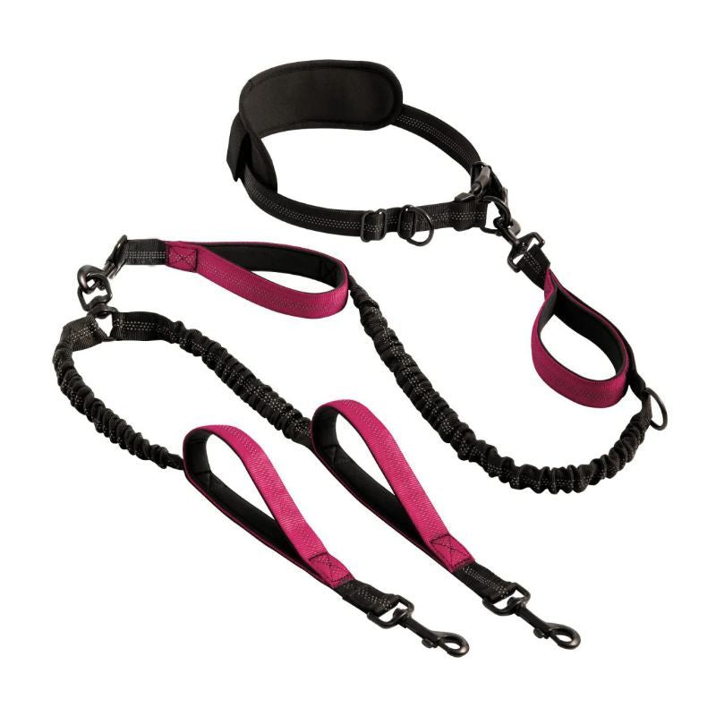 Hands Free & No Tangle Dual Dog Leash for 2 medium to big dogs